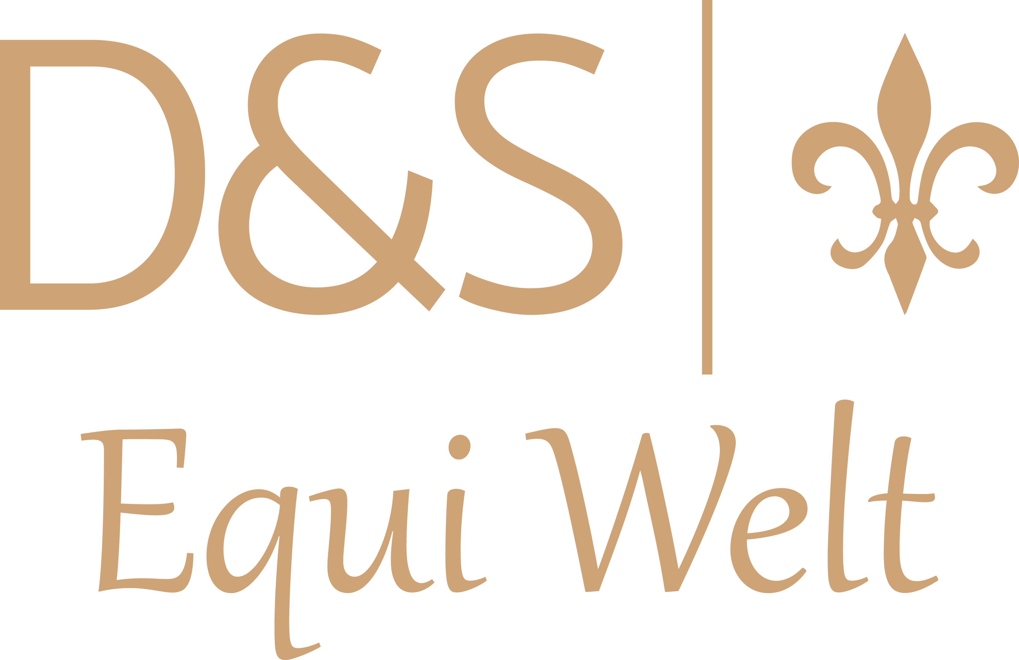 D&S Equiwelt